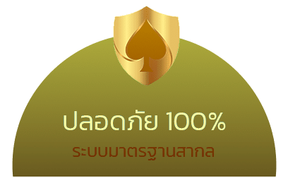 ปลอดภัย 100%