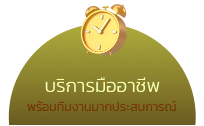 บริการมืออาชีพ